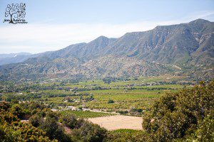 Ojai_wedding_view_Valley