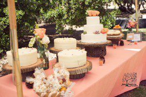 Wedding_Cake_Rustic_Wood
