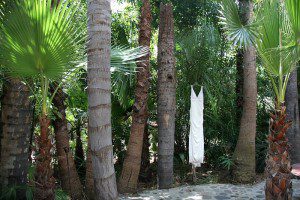 wedding dress palm trees santa barbara ojai
